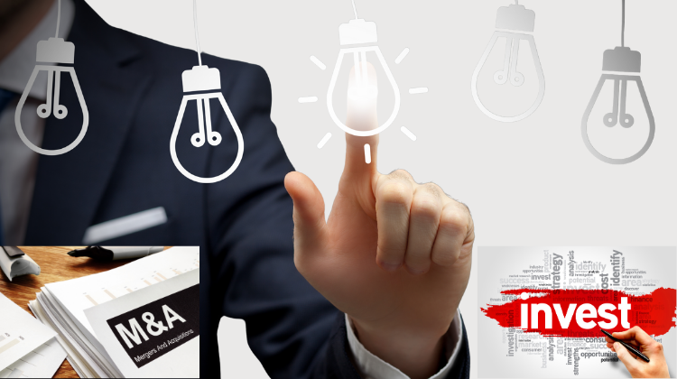 M&A or New Investment: Which Strategy is Optimal for Japanese Businesses When Entering Vietnam?