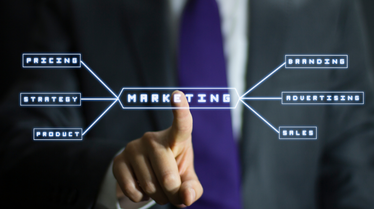 Marketing and Brand Development