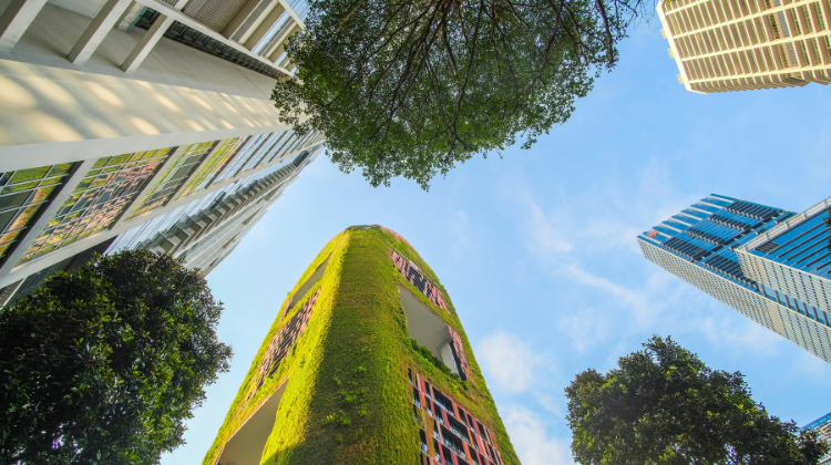 ESG-Driven M&A – An Inevitable Trend Or A “Green Shirt” To Polish The Media?